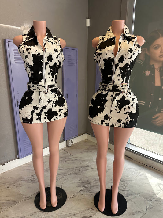 Rodeo Town Set