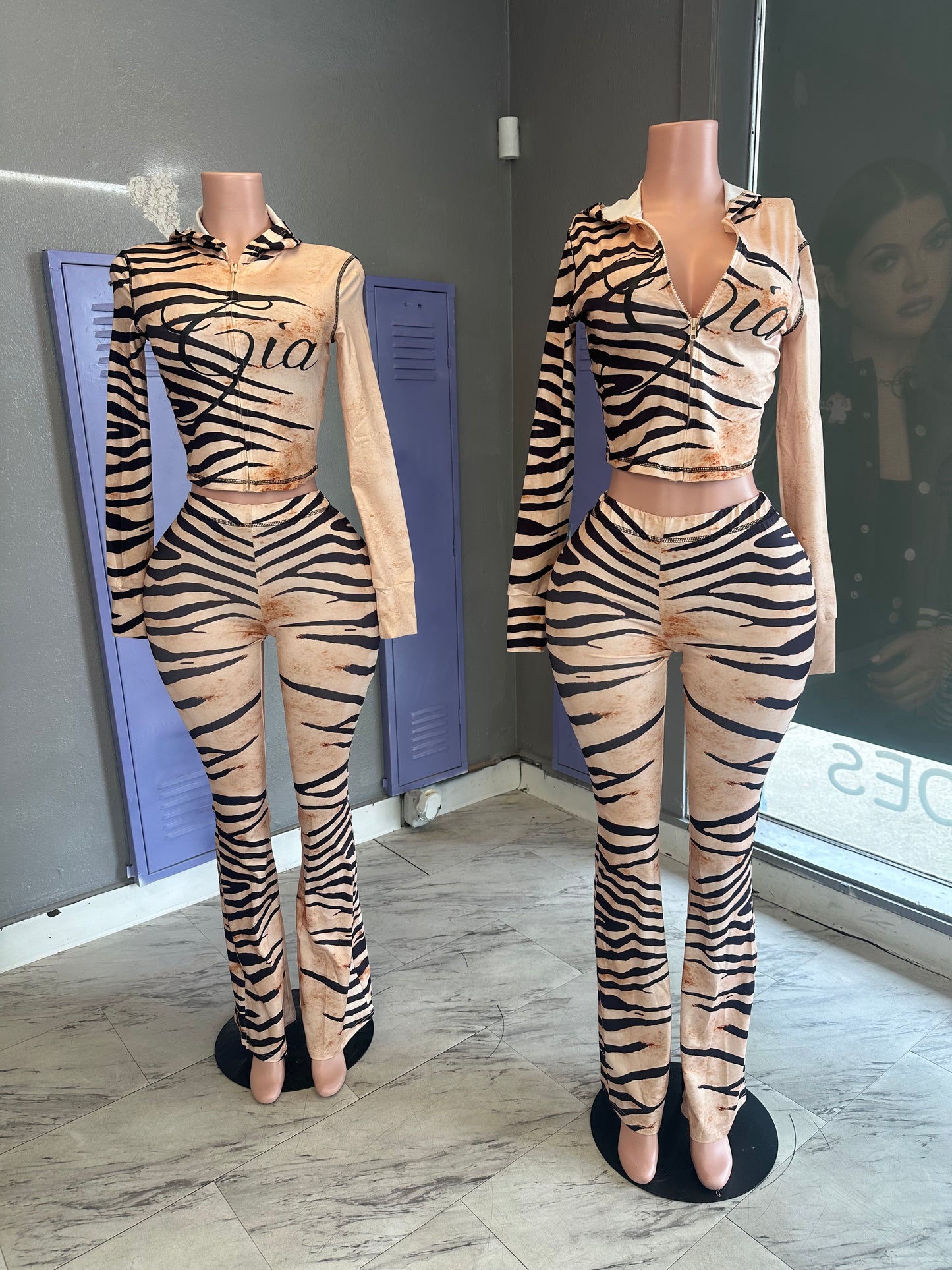 Zebra Gia Set