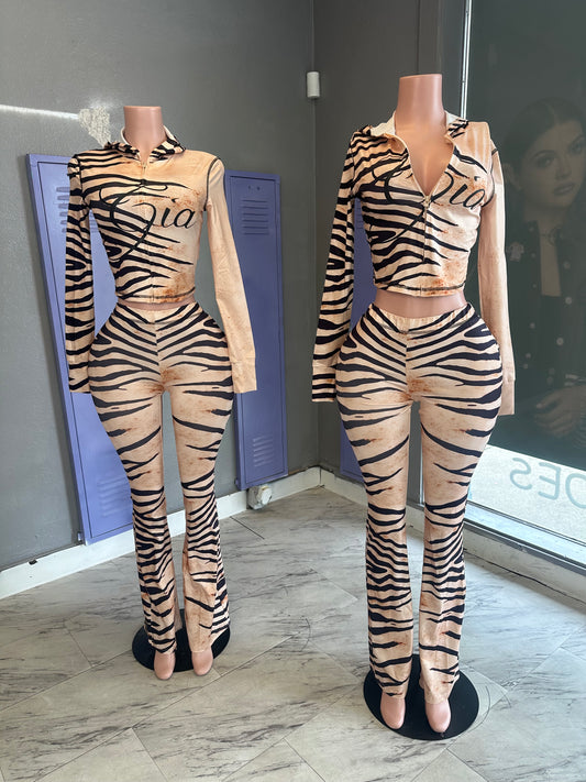 Zebra Gia Set
