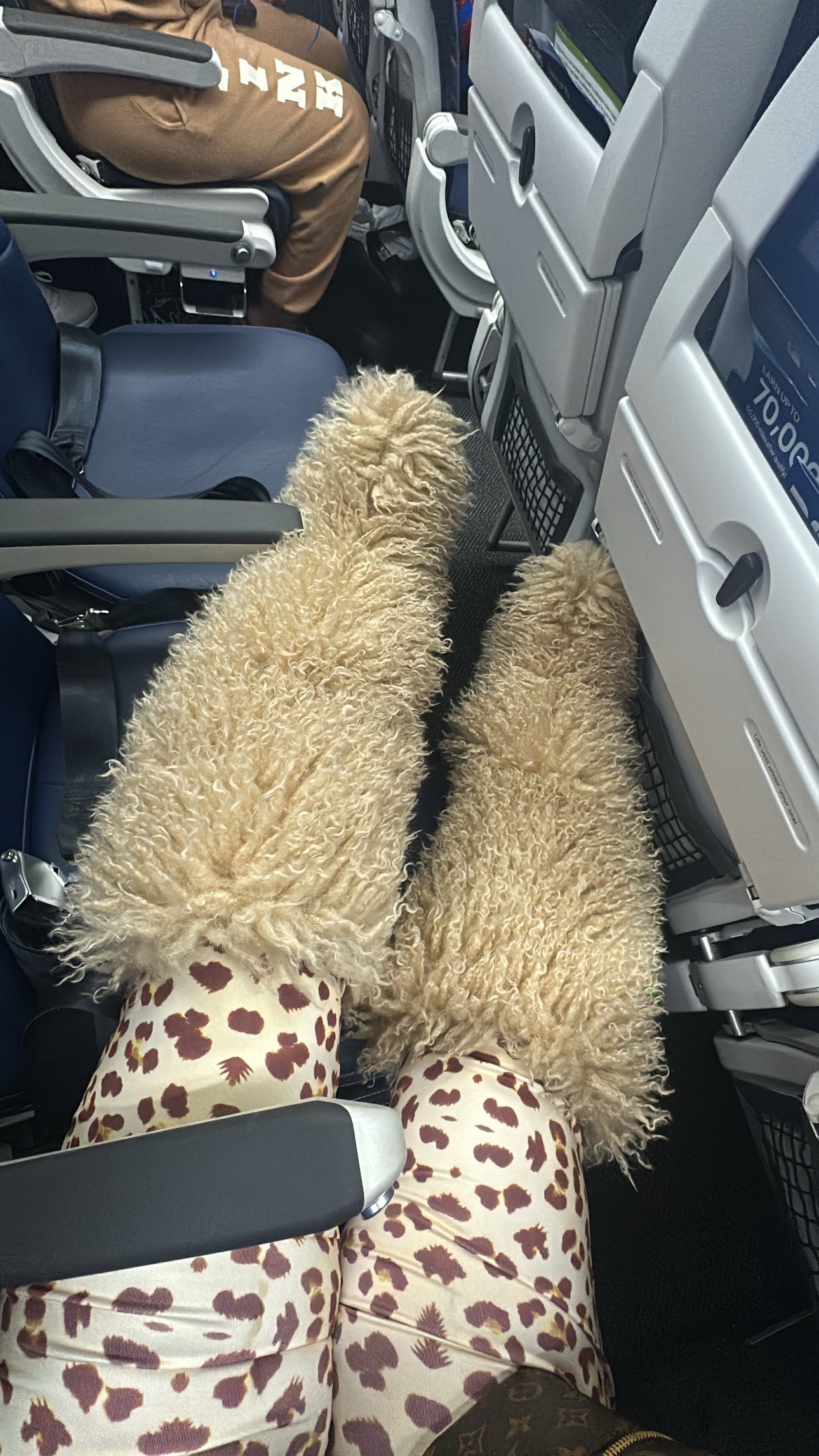 Poodle Mongolian Boots  ( Thigh Highs )